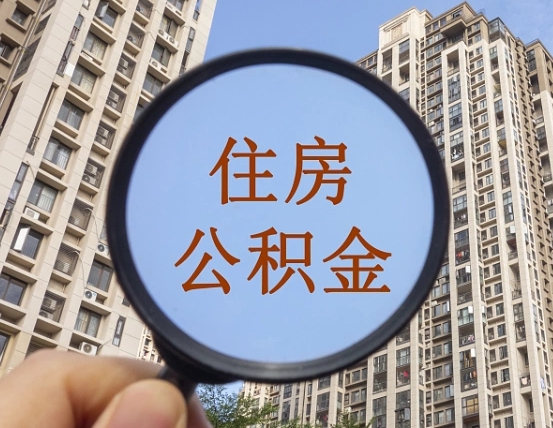 泗洪退休后查不到公积金明细了吗（退休后公积金查询不到原因）
